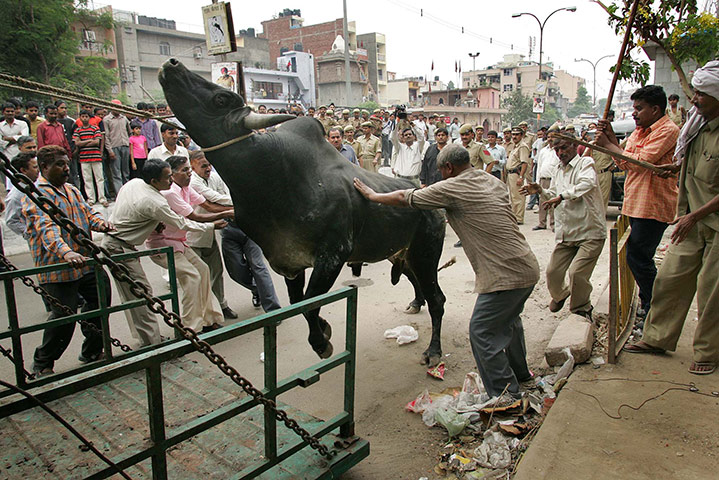 sport: New Delhi, India