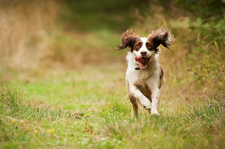 Guardian Camera Club: Alistair Haimes participates in the pet photography monthly assignment.