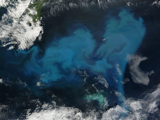 Satellite Eye on Earth: Phytoplankton off the coast of Newfoundland 