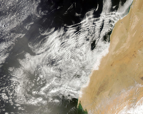 Satellite Eye on Earth: Ripple-like wave clouds  off the coast of Western Sahara 