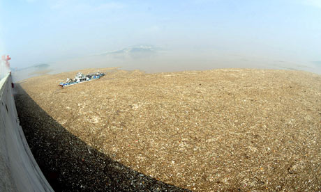 A boat collects floating litter and debris from the Three Gorges dam in China