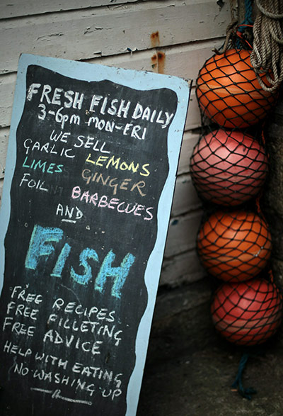 Cadgwith fishing: Cadgwith cove fishing competition