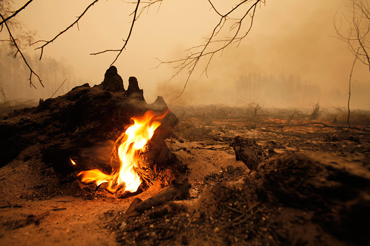 Russia update: A tree trunk burning amid smoldering remnants of a forest, Kadanok