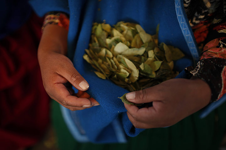 24 hours in pictures: coca leaves at a political meeting in bolivia