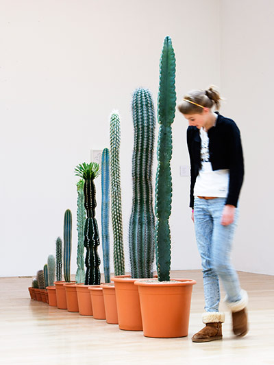 Martin Creed exhibition: Martin Creed Exhibition