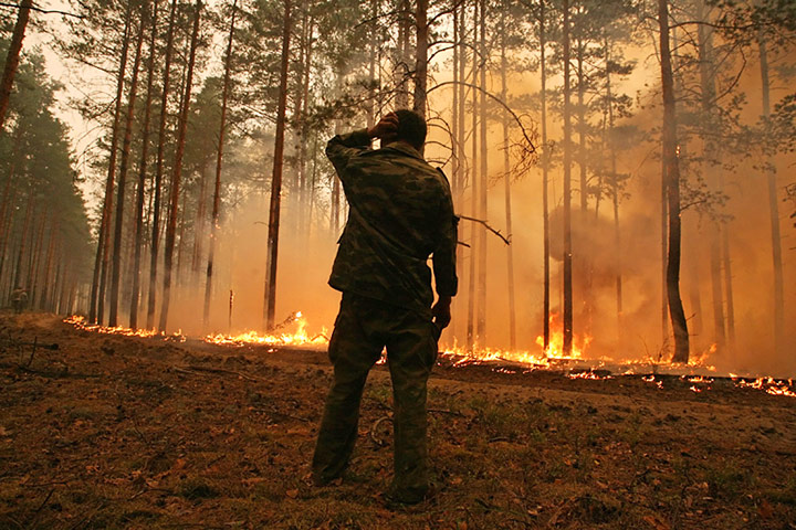 24 hours in pictures: Forest fires rage in Russia