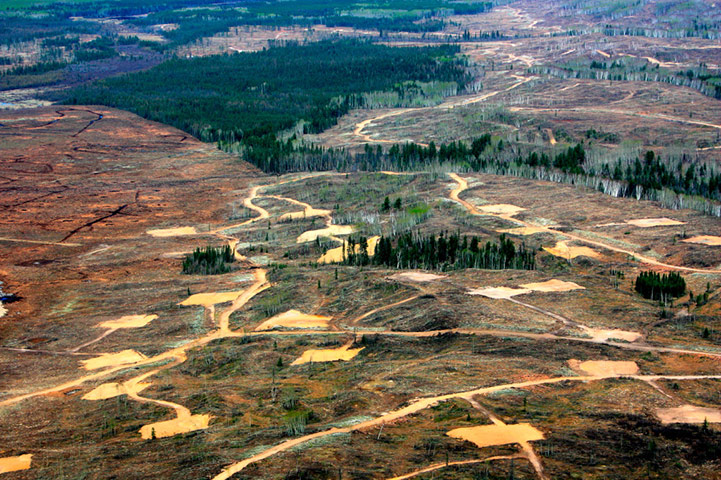 Tarnished Earth : Exhibition on the tar sands devastating pollution in Alberta, Canada