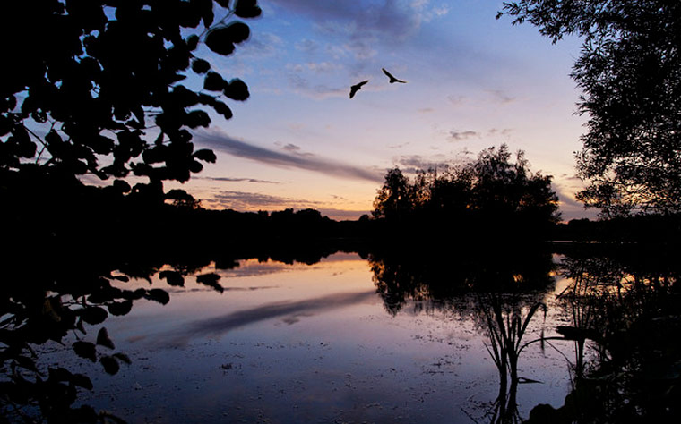 Blipfoto: Blipfoto S2