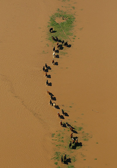 Week in wildlife: Flood Waters Devastate Victoria