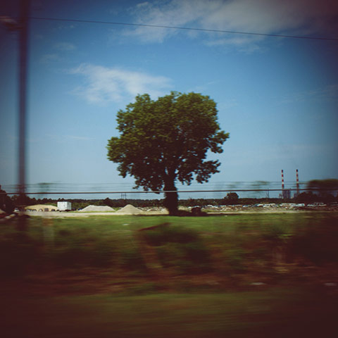 Guardian Camera Club: A review of Matt Hill's portfolio