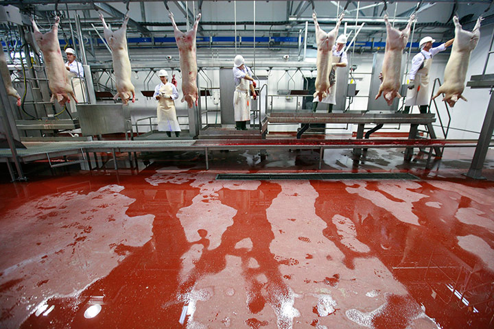 24 hours in pictures: Employees at the 