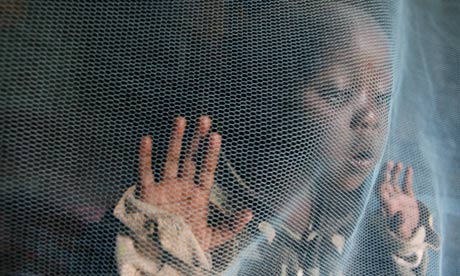 Child under a mosquito net,
 Kenya