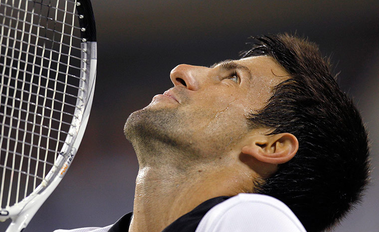 tennis: Novak Djokovic of Serbia