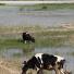 Coal Ash pollution: Shuozhou, Shanxi province, China