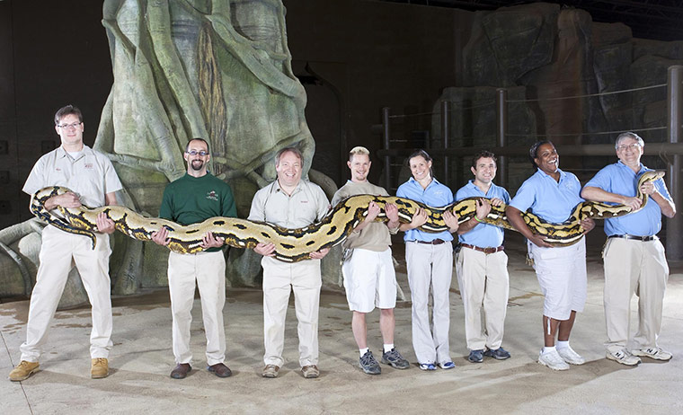 Record breaking animals: Record breaking animals