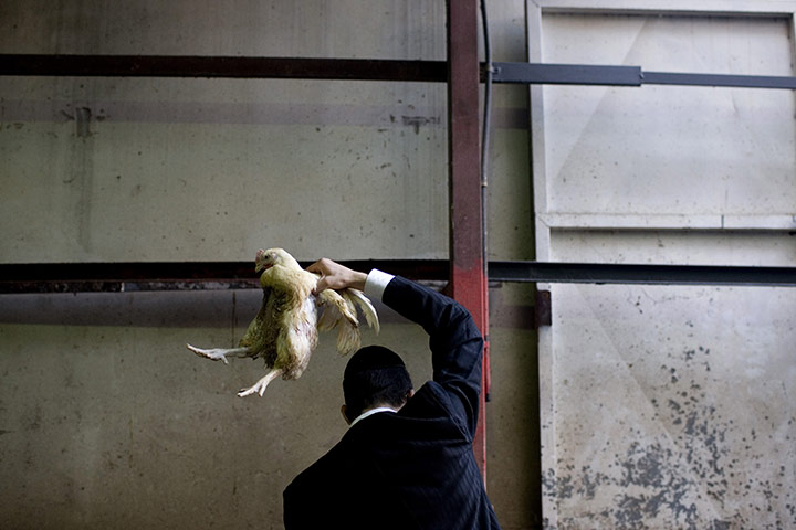 24 hours in pictures: Kaparot in Israel