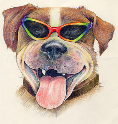 Competition winners: Shape drawing