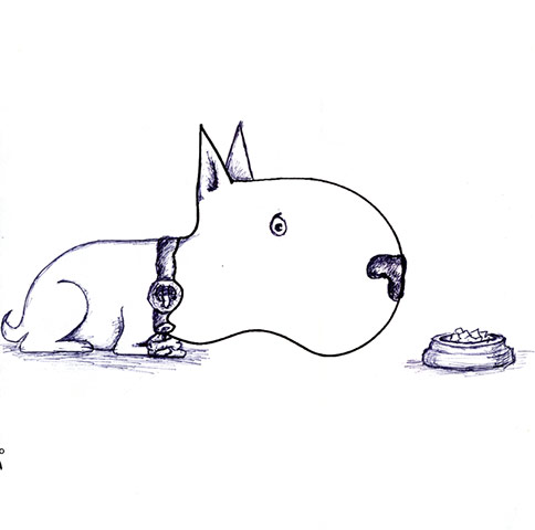 Competition winners: Shape drawing