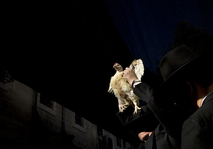 24 hours: Mea Shearim, Jerusalem: An ultra-Orthodox Jewish man swings a chicken