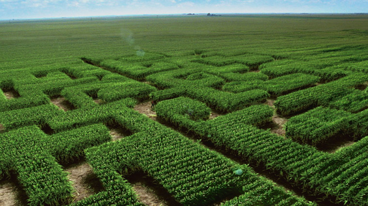 Business Week: TV advertisement provided by The Corn Refiners Association