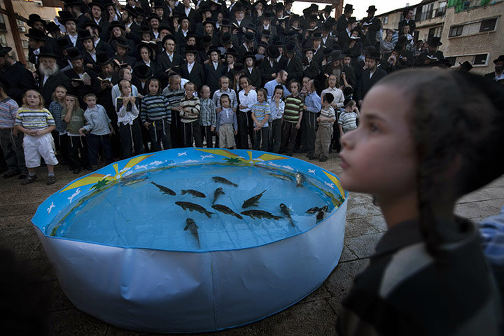 Yom Kippur: Ultra-Orthodox Jews pray in front of a plastic pool of live fish