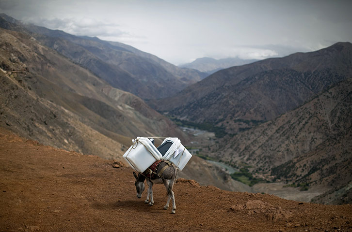 24 hours in pictures: A donkey transports ballot boxes for Afghan parliamentary elections  