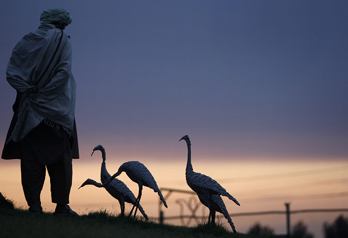 24 hours in pictures: Mazar-e-Sharif, Afghanisan: A gardender walks past statues of stalks