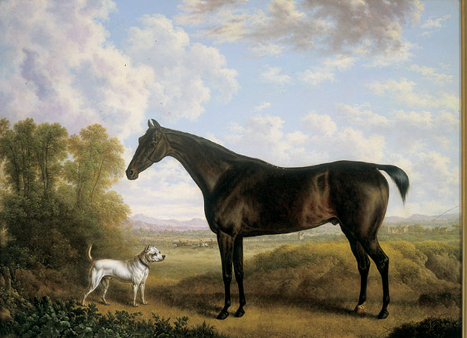 South Africa Gallery: Charles Towne's A Dark Bay Hunter and Dog