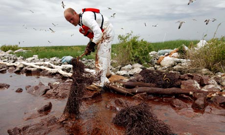 The clean-up operation on the coast of Louisiana at the height of the spill