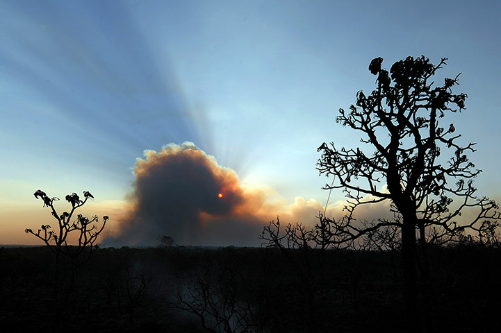  Smoke covers the sun during a fire at a national park close to the capital Brasília