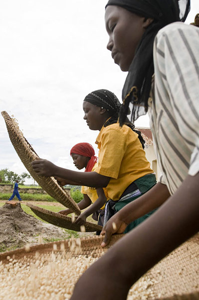 MDG: Photographs by Tim Smith exploring the origins of Yorkshire Tea in Rwanda
