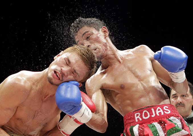 24sport: Kohei Kono is on the receiving end of a right hook from Tomas Rojas