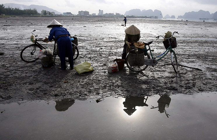 24 hours in pictures: Vendors load seafood from a fishing port onto their bicycles in Vietnam