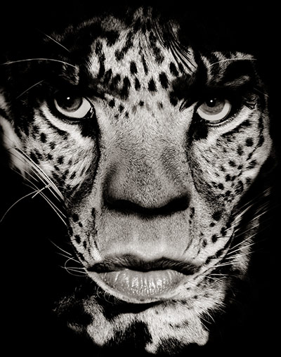 Albert Watson: Albert Watson