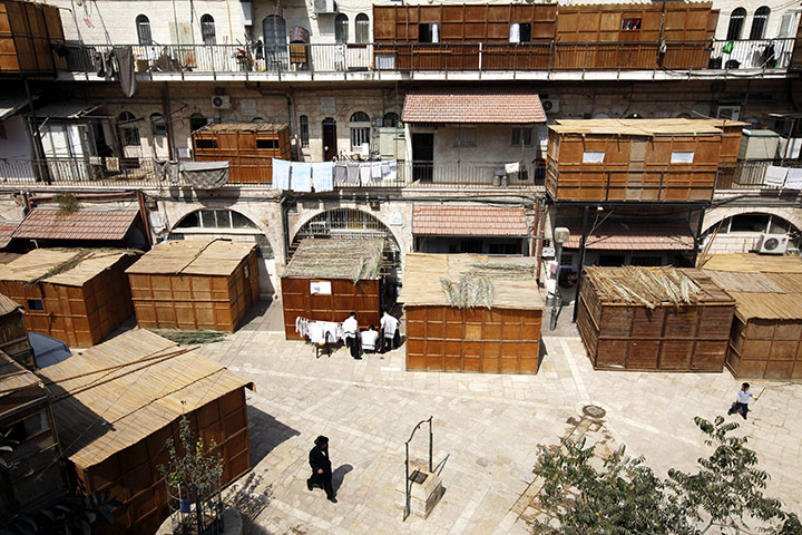 24 hours in pictures: ultra orthodox jewish man inspects myrtle branch in jerusalem