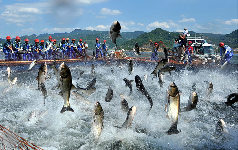 24 hours in pictures: Fishermen pull in the fishing net at Qiandao Lake, China