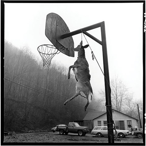 Exhibitionist2509: Myth