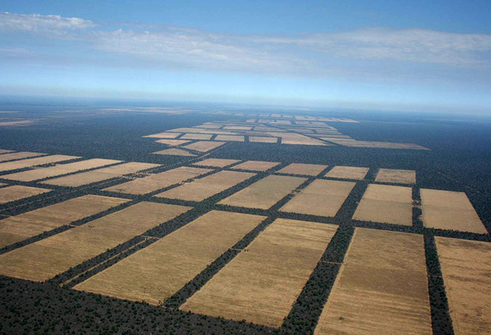 Biodiversity 100: Deforestation in Chaco, Paraguay