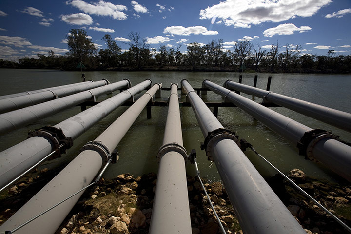 Biodiversity 100: Murray-Darling Basin, Australia