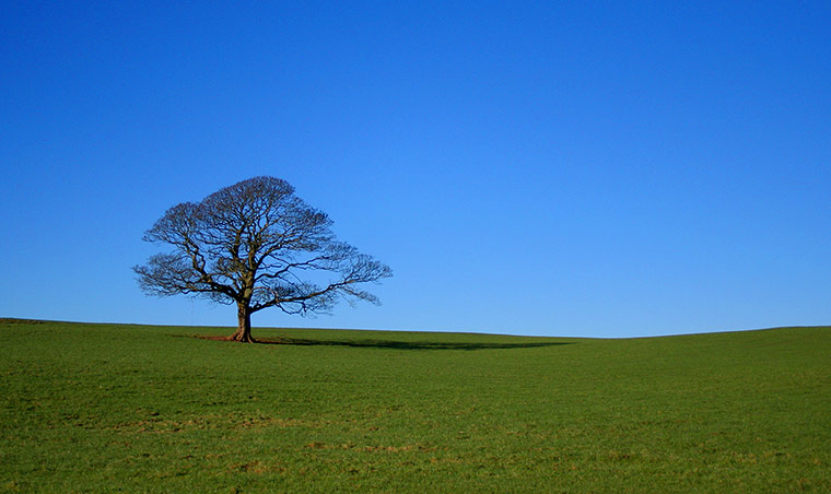 Camera Club: Camera Club: Hugh Spicer portfolio