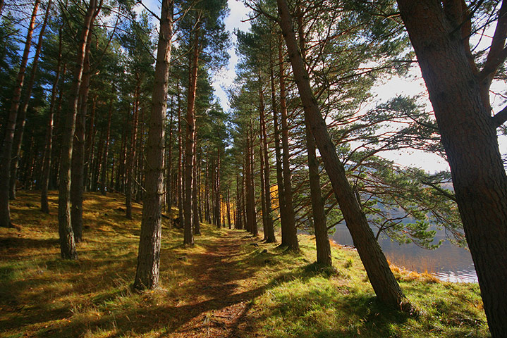 Camera Club: Camera Club: Hugh Spicer portfolio