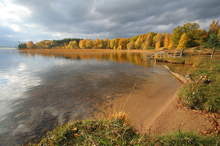 Camera Club: Camera Club: Hugh Spicer portfolio