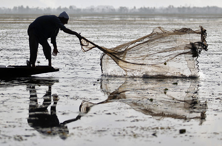 24hours Wed: A Kashmiri fisherman throws a net into the waters of Dal Lakei n Srinagar