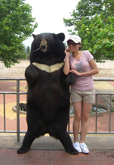 Week in wildlife: animal abuse in Chinese circuses, Weihai Zoo, China 