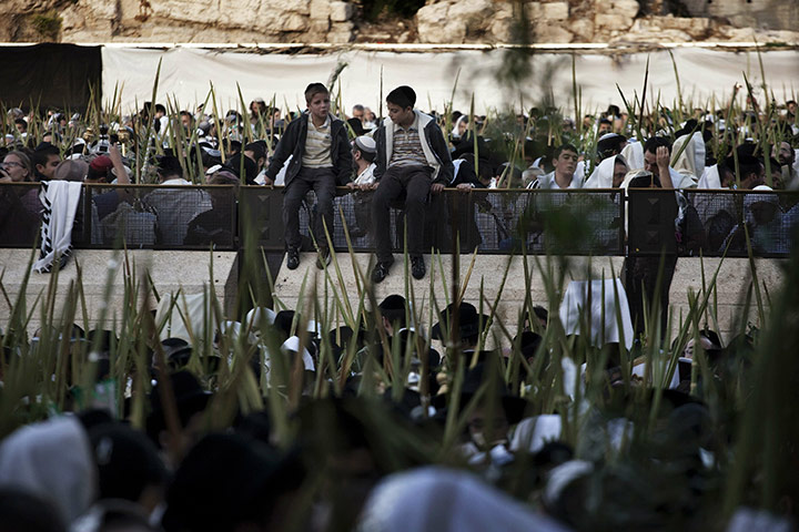 24 hours Thurs: Thousands of Orthodox Jewish men hold palm stalks