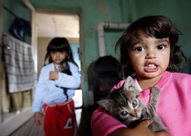 24 hours Thurs: Roma girls carry kittens in their home in Alsozsolca, northeast of Budapest