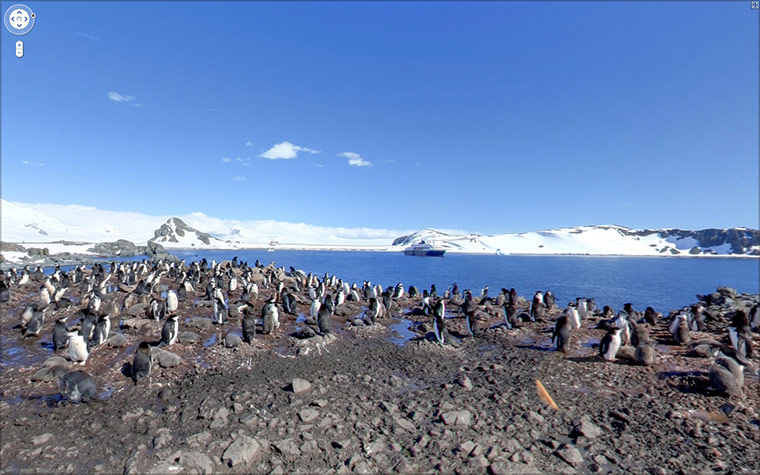 Google Streetview Global: Google streetview - Penguins, Half Moon Island, Antarctica