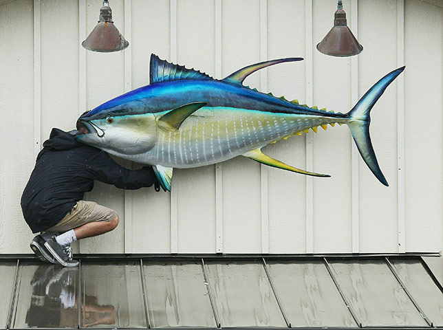 24 hours in pix: 24 hours in pix