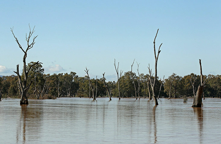 Australia Floods: Wangaratta, Victoria: Farmland is seen swamped by floodwaters