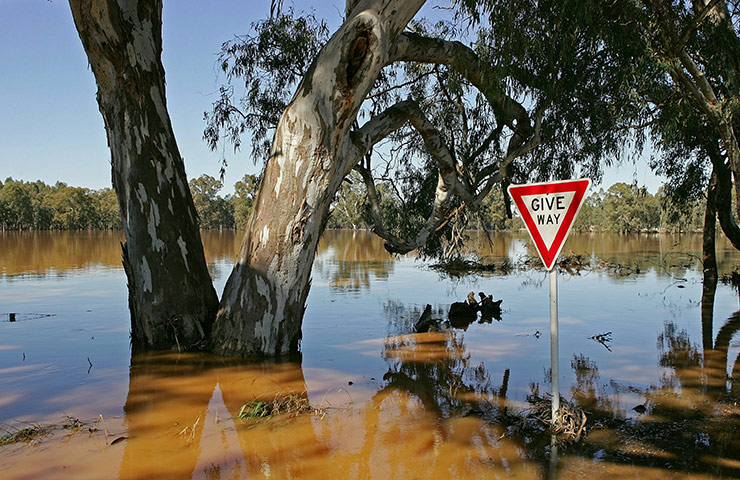Australia Floods: Wangaratta, Victoria: Farmland is seen swamped by floodwaters 